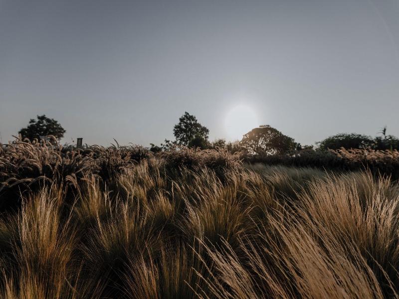 Onym Curated Villas image