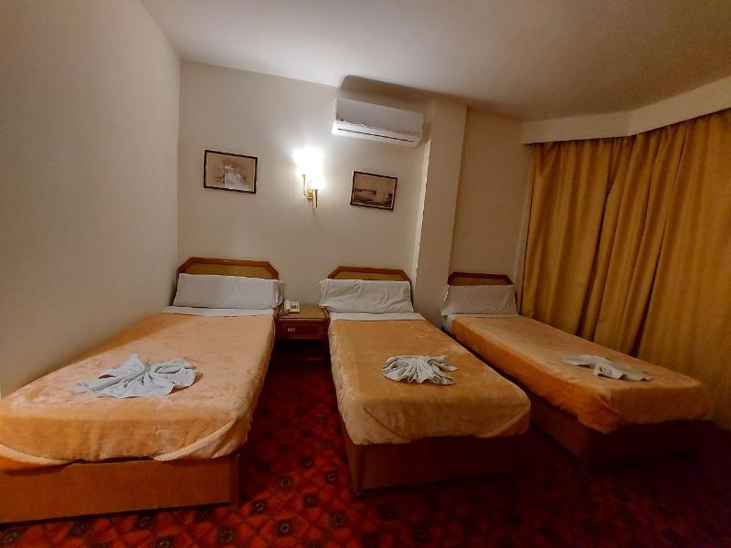 Queens Valley Hotel Luxor image