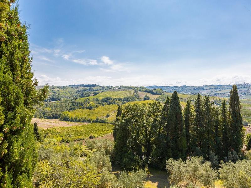 Castello Di Montegufoni image