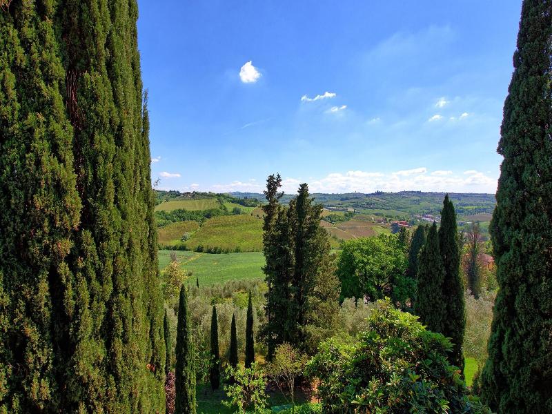Castello Di Montegufoni image