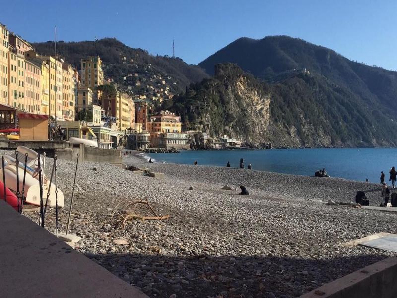 House Camogli image