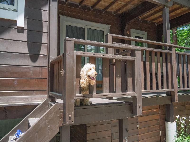 Hal Cottage image