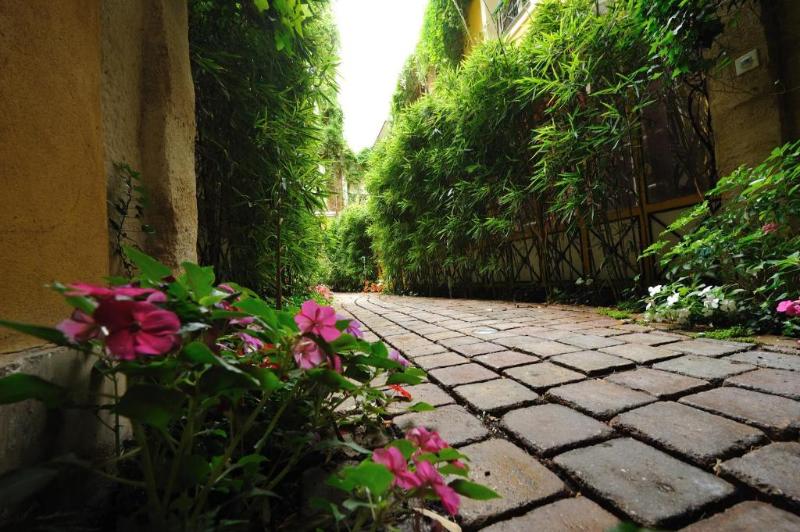 Les Patios Du Marais image