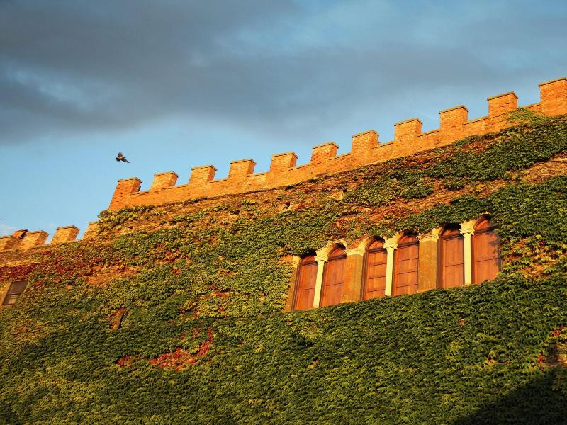 Castello Ginori Di Querceto image