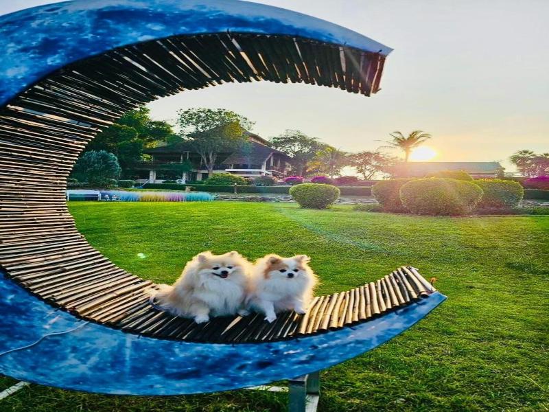 Phureenun Resort