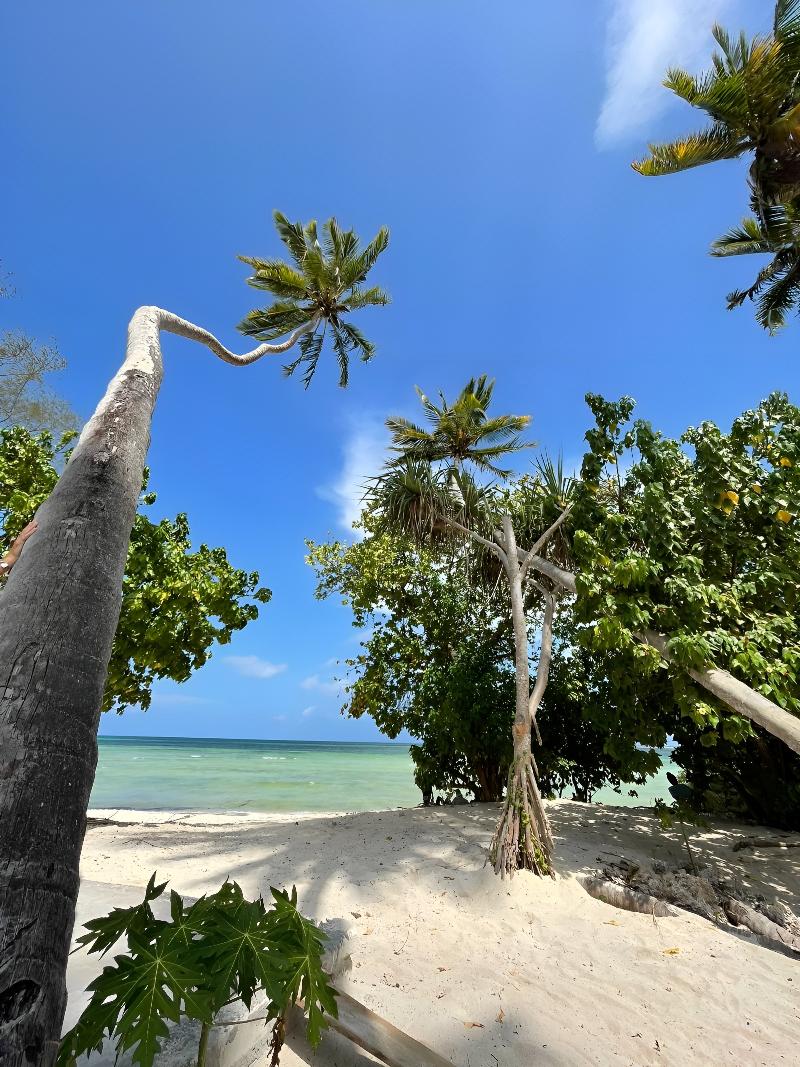 Ycona Luxury Resort image