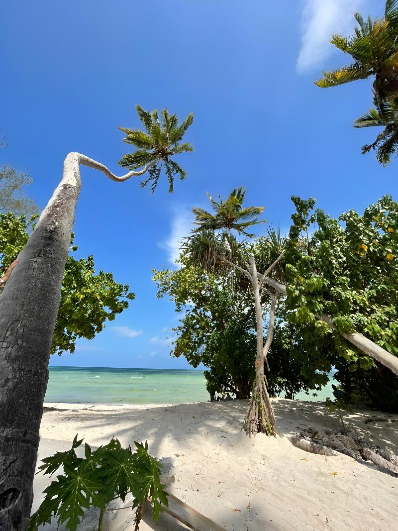 Ycona Luxury Resort image