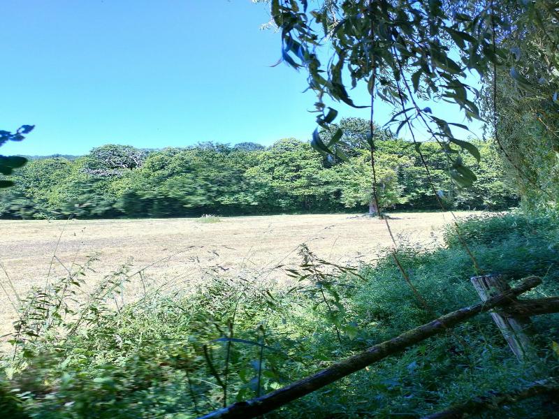 Rãªves De Gamins image