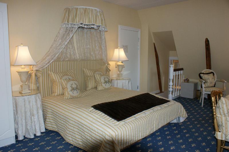 Sophiendal Slotshotel image