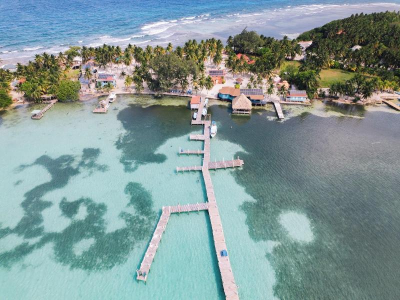 Blue Marlin Beach Resort image