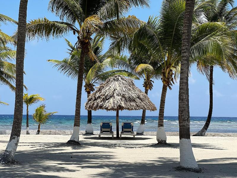 Blue Marlin Beach Resort image