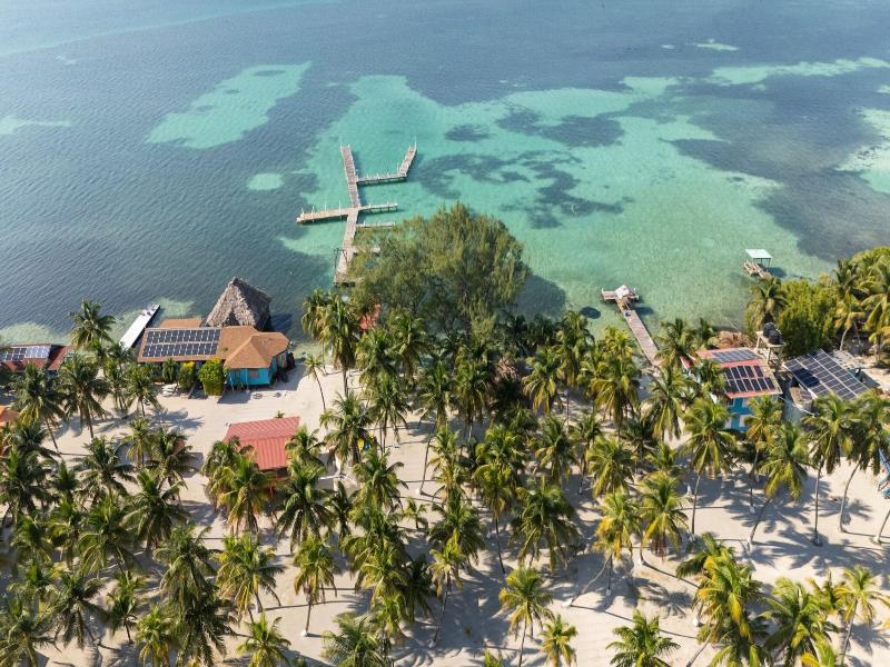 Blue Marlin Beach Resort image