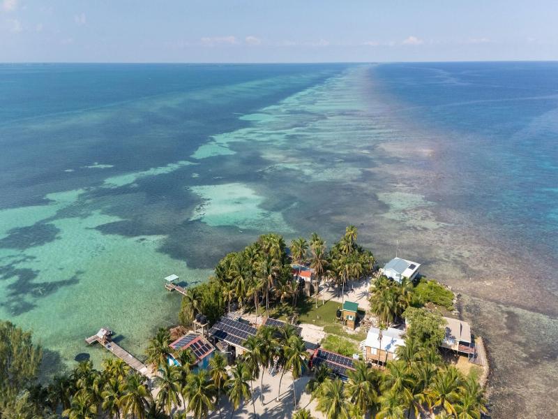 Blue Marlin Beach Resort image