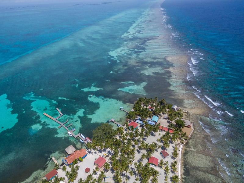 Blue Marlin Beach Resort image