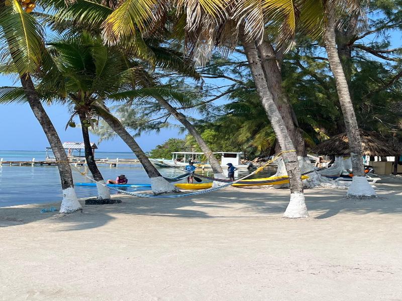 Blue Marlin Beach Resort image
