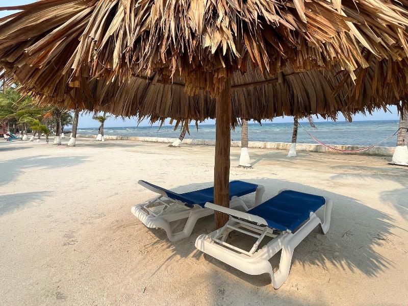 Blue Marlin Beach Resort image