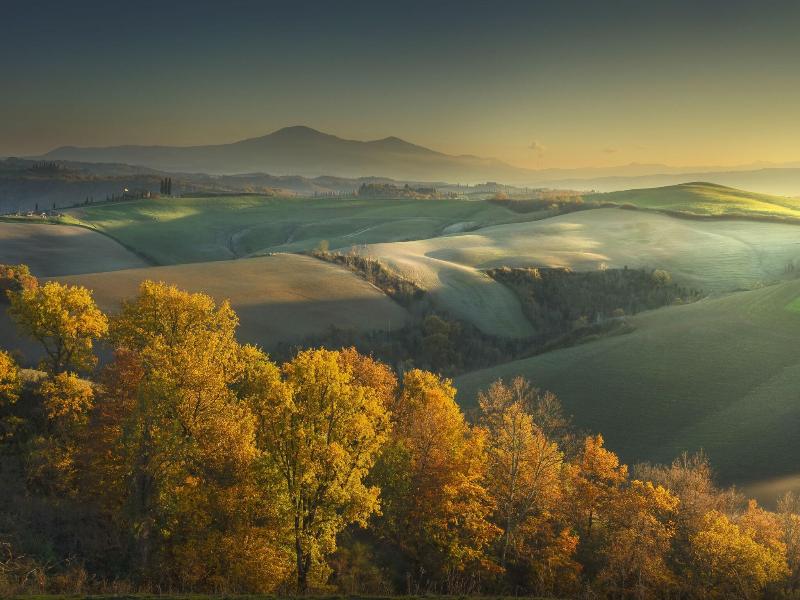 Amiata Suite image