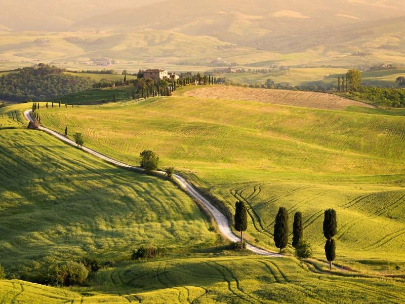 Amiata Suite image
