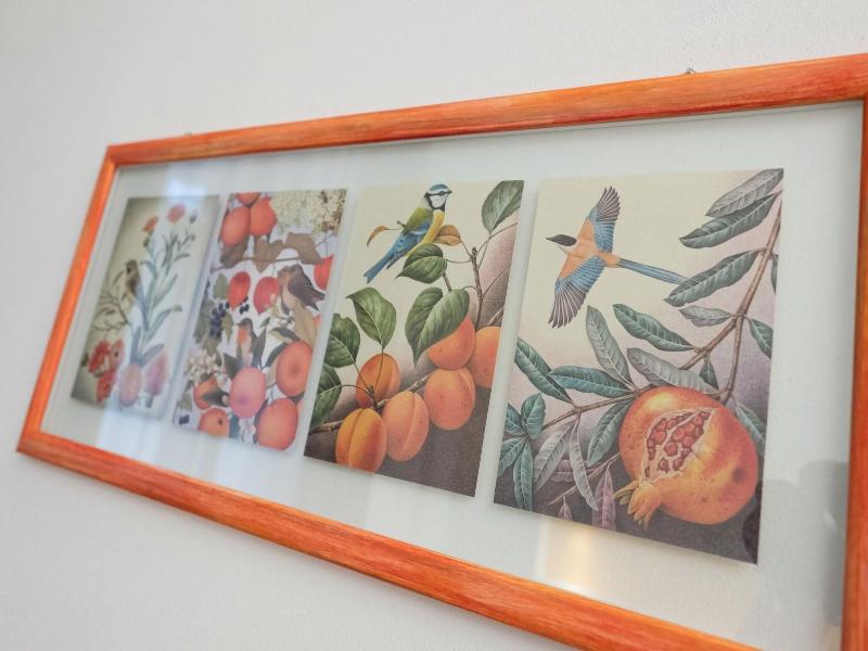 Amiata Suite image