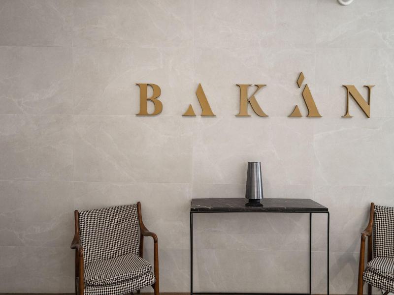Bakan - Palais Des Congres image