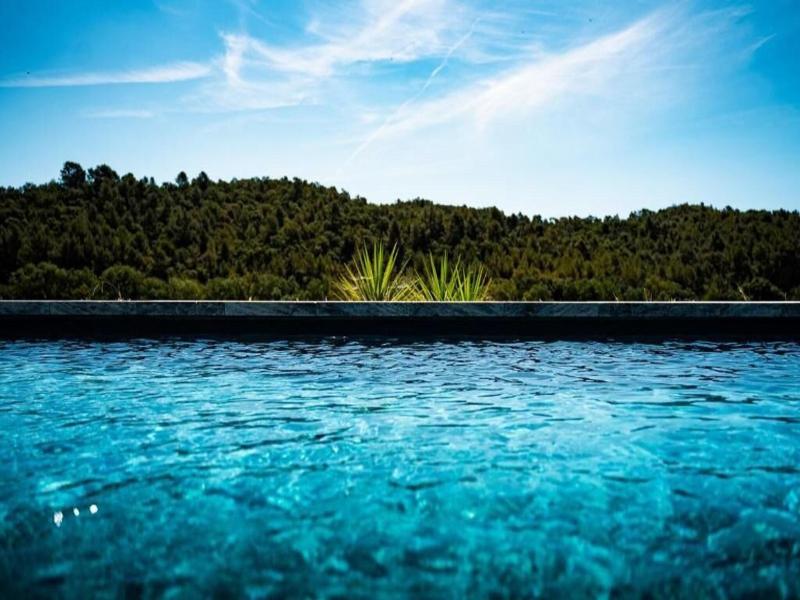 Sous Les Pins image