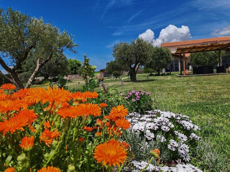 La Pace Residence & Relax image