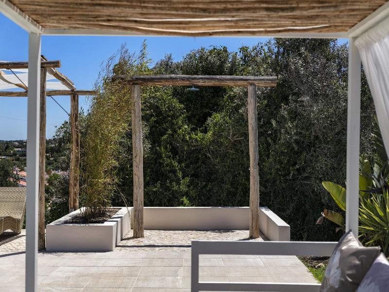 Casa Tuia image
