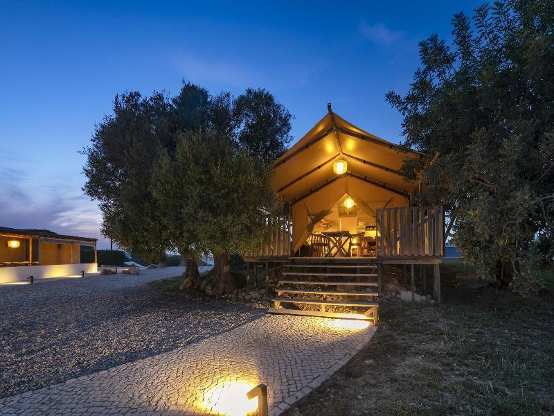 Casa Tuia image