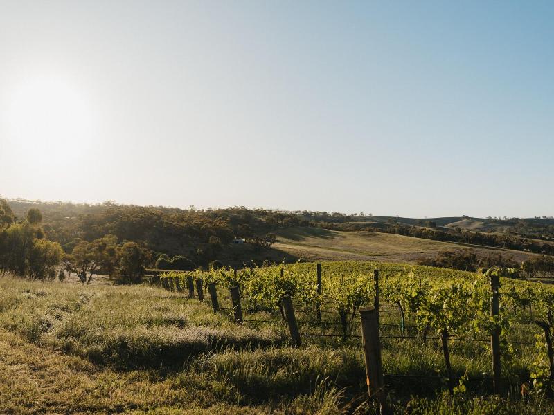 Cabn Off Grid Clare Valley Accommodation