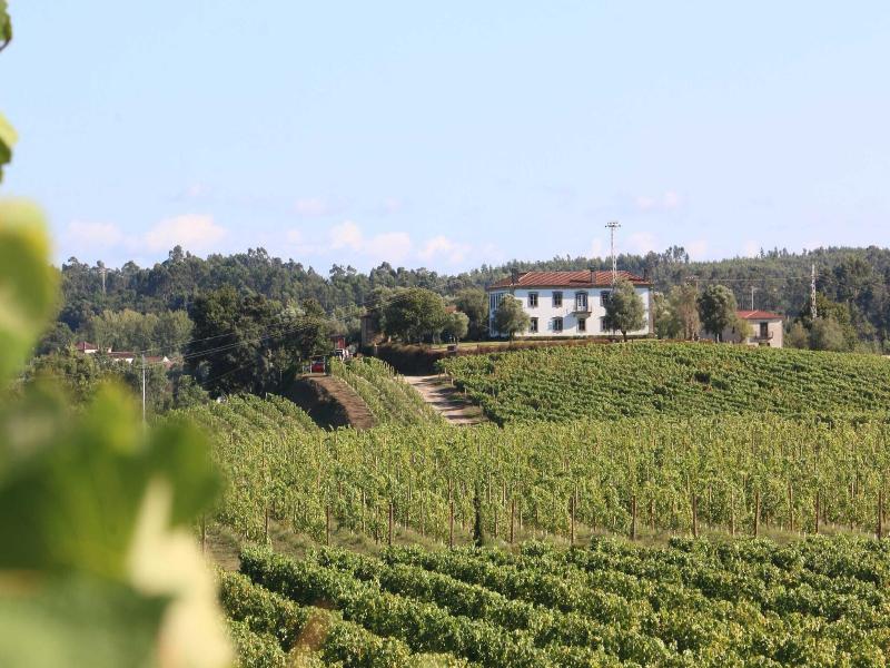 Terra Rosa Country House & Vineyards image