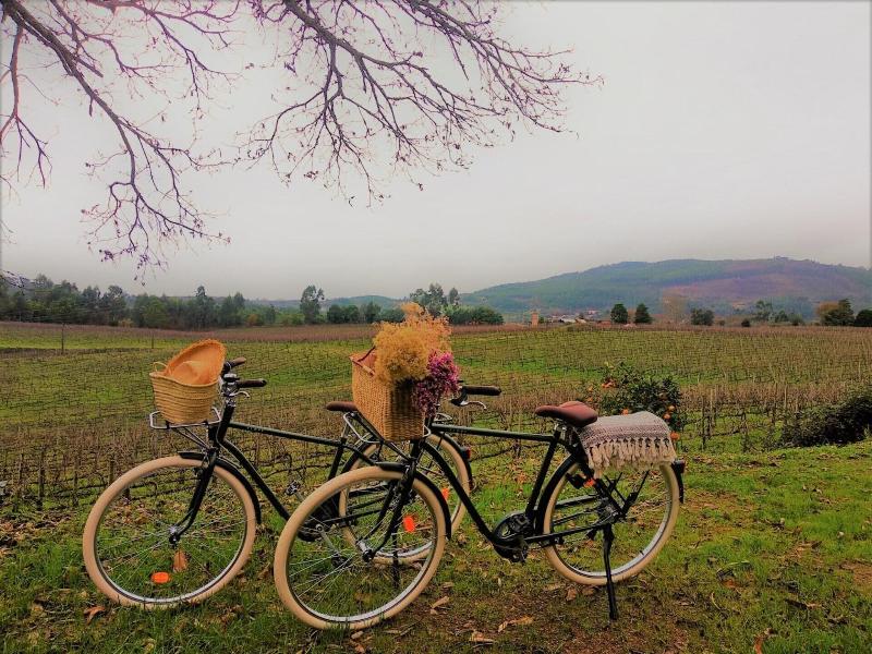 Terra Rosa Country House & Vineyards image