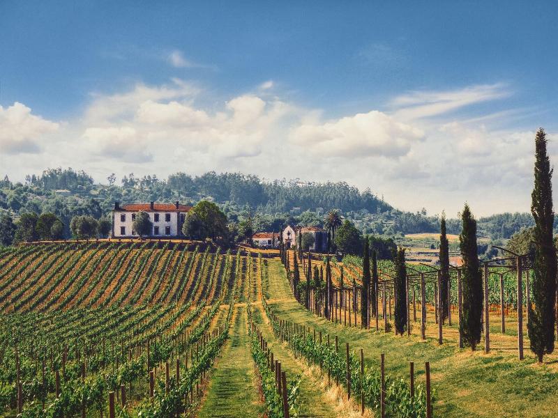 Terra Rosa Country House & Vineyards image
