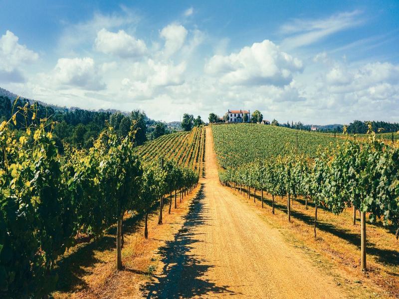 Terra Rosa Country House & Vineyards image