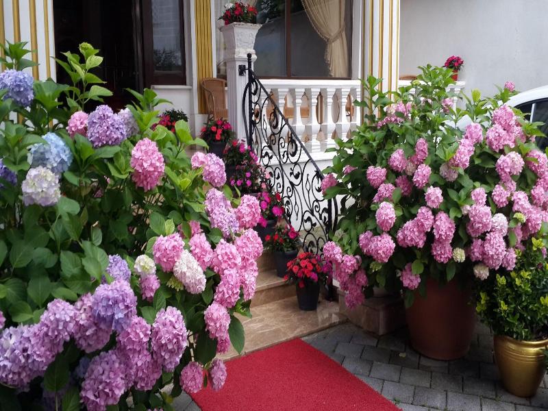 Termal Elit Hotel image