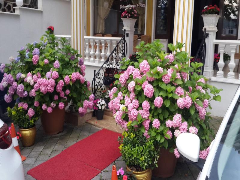 Termal Elit Hotel image