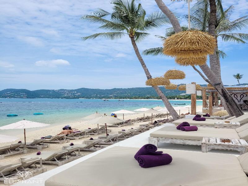 Elephant Beach Resort image