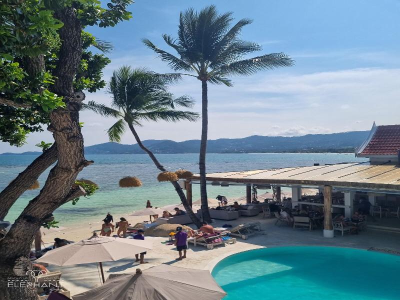 Elephant Beach Resort image