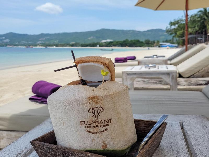 Elephant Beach Resort image