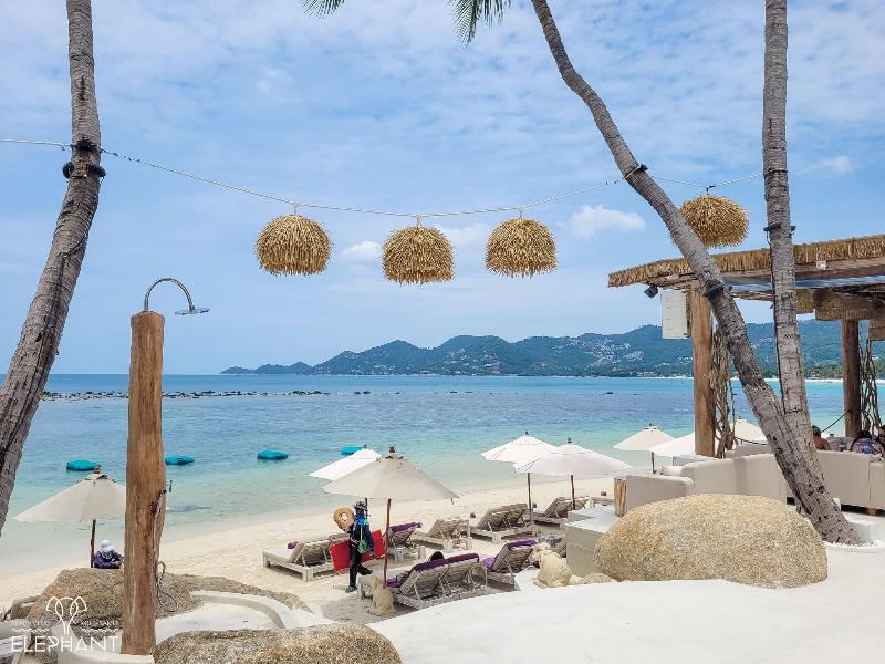 Elephant Beach Resort image