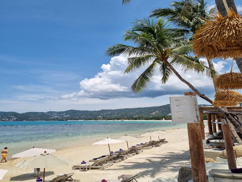 Elephant Beach Resort image