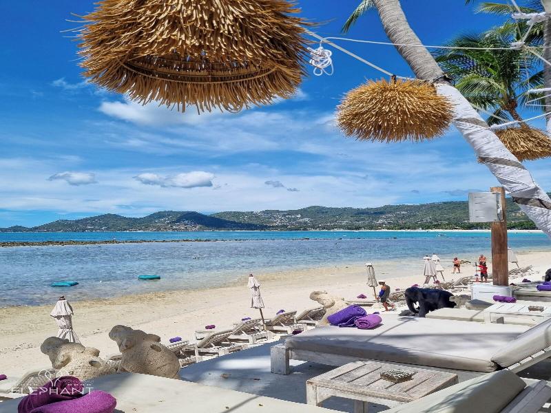 Elephant Beach Resort image