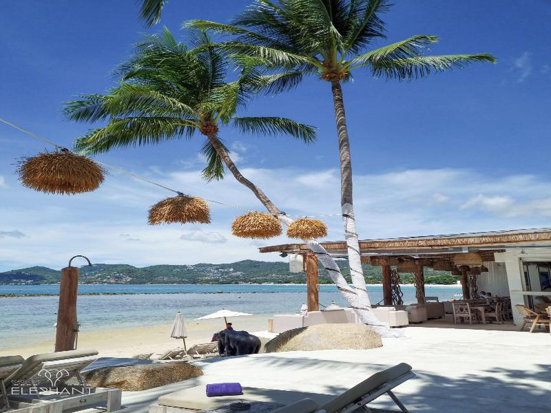 Elephant Beach Resort image