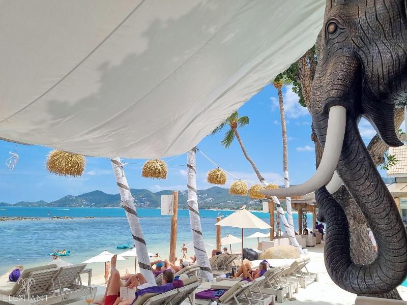 Elephant Beach Resort image