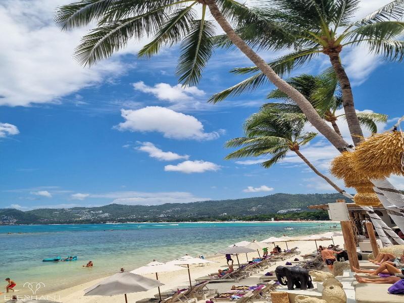 Elephant Beach Resort image