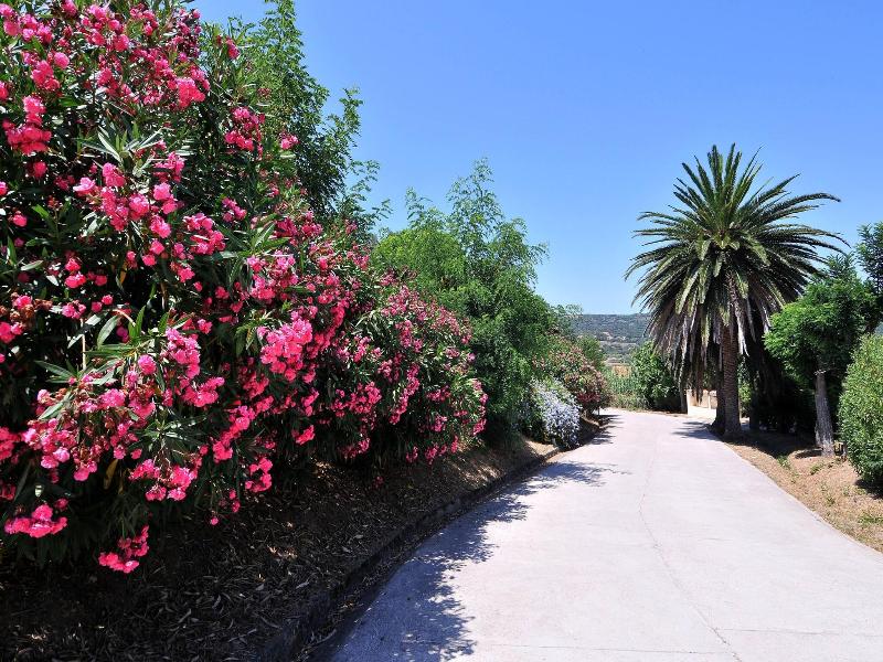 Domaine Saint Pierre image