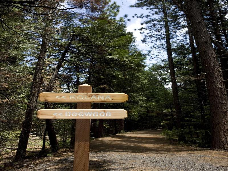 Evergreen Lodge At Yosemite image