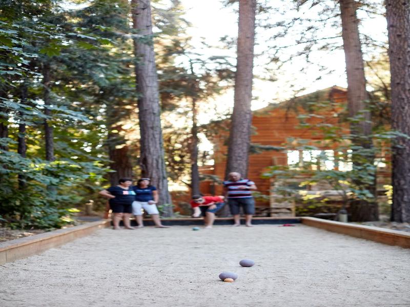 Evergreen Lodge At Yosemite image