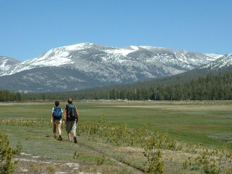 Evergreen Lodge At Yosemite image