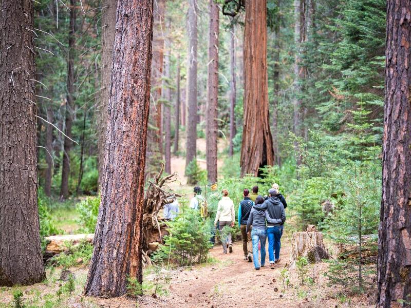 Evergreen Lodge At Yosemite image
