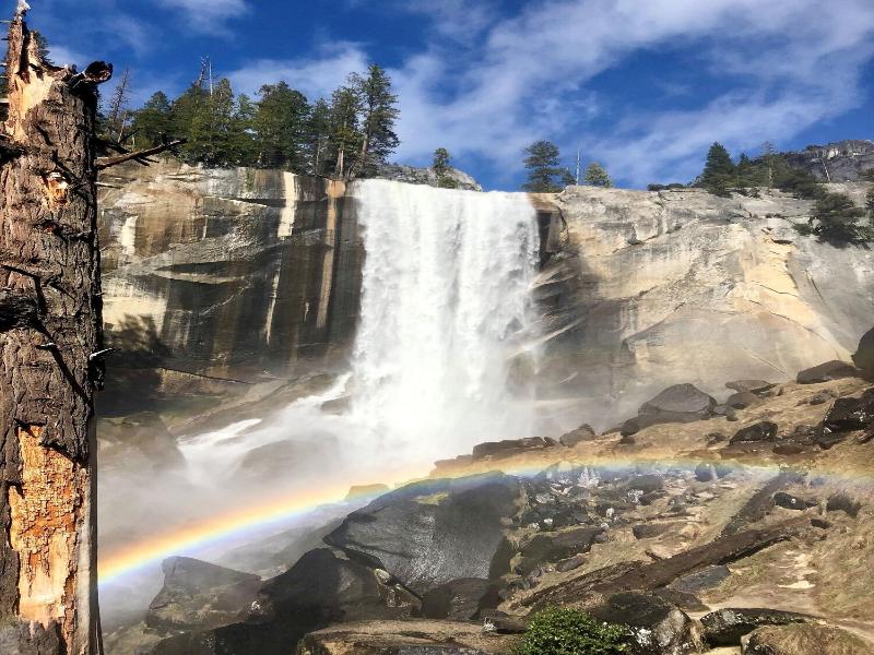 Evergreen Lodge At Yosemite image